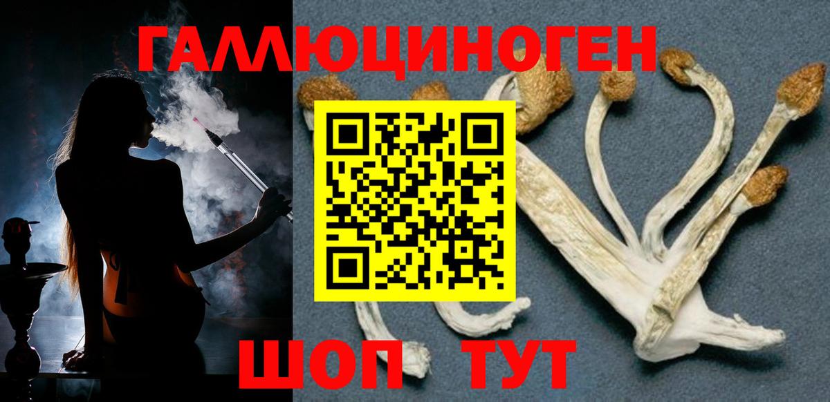 Галлюциногенные грибы прущие грибы Бутурлиновка