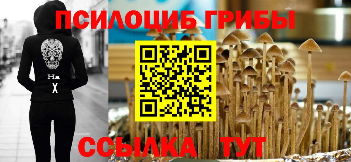 цены наркотик  Псилоцибиновые грибы Cubensis  Вход с VPN  Псилоцибиновые грибы Psilocybine cubensis  Бутурлиновка 